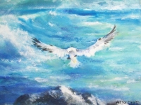 gannet-landing-medium-web-view